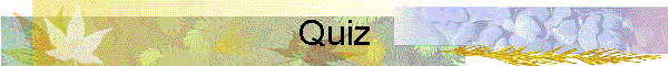 Quiz