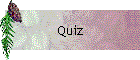 Quiz