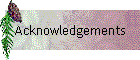 Acknowledgements