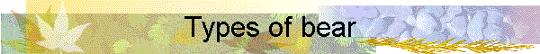 Types of bear