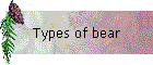 Types of bear