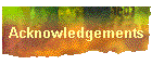 Acknowledgements
