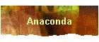 Anaconda
