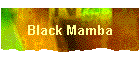 Black Mamba