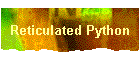 Reticulated Python