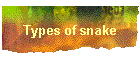 Types of snake
